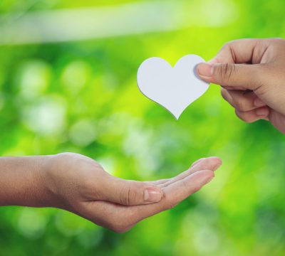 Couple holding hands in green meadow.