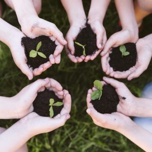 kids-holding-their-hands-clover